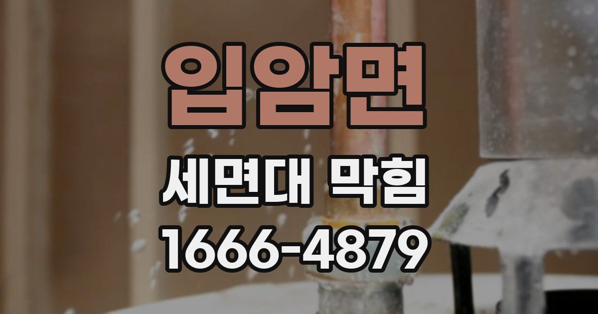 입암면 세면대 막힘