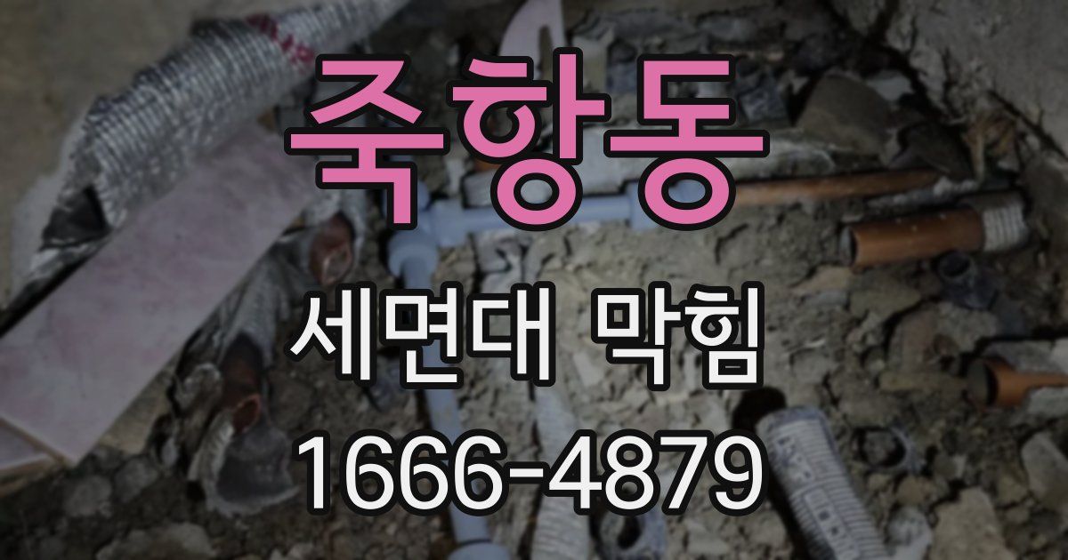 죽항동 세면대 막힘