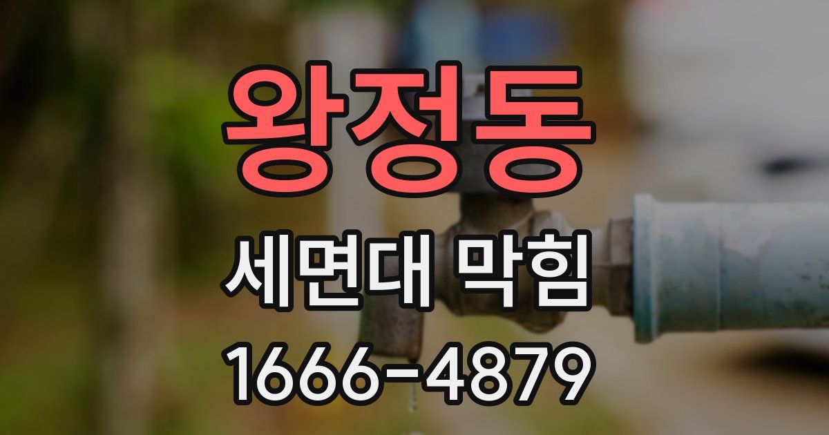 왕정동 세면대 막힘