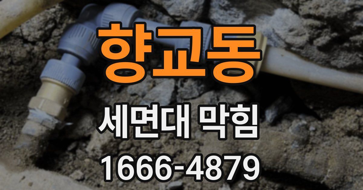 향교동 세면대 막힘