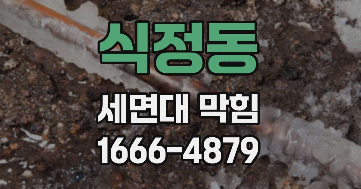 식정동 세면대 막힘