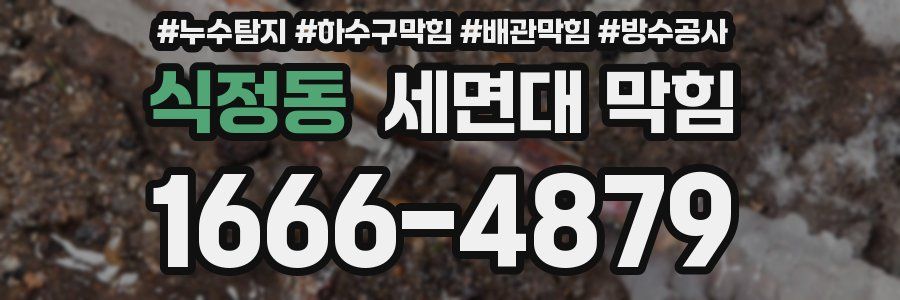 식정동 세면대 막힘