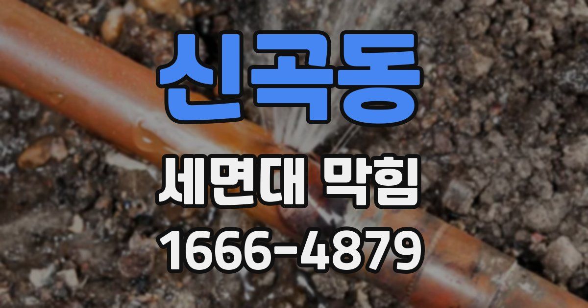신곡동 세면대 막힘