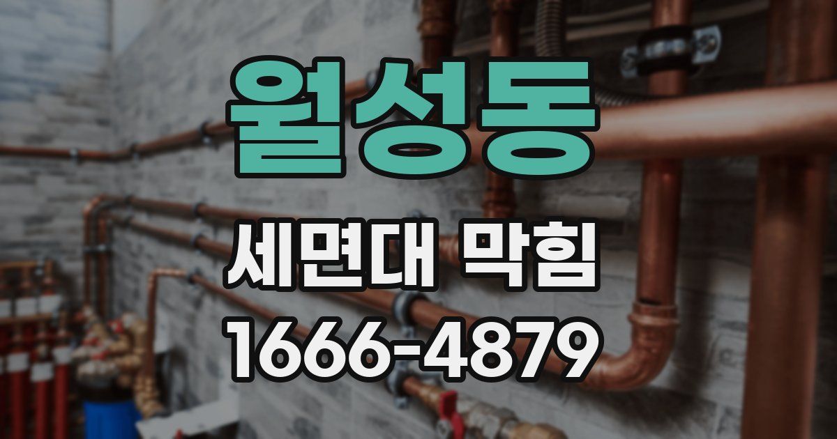월성동 세면대 막힘