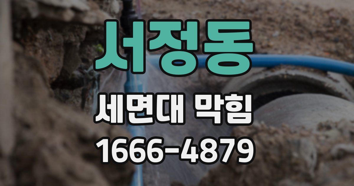 서정동 세면대 막힘