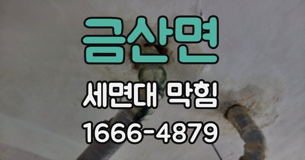 금산면 세면대 막힘