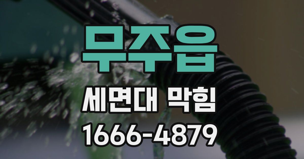 무주읍 세면대 막힘