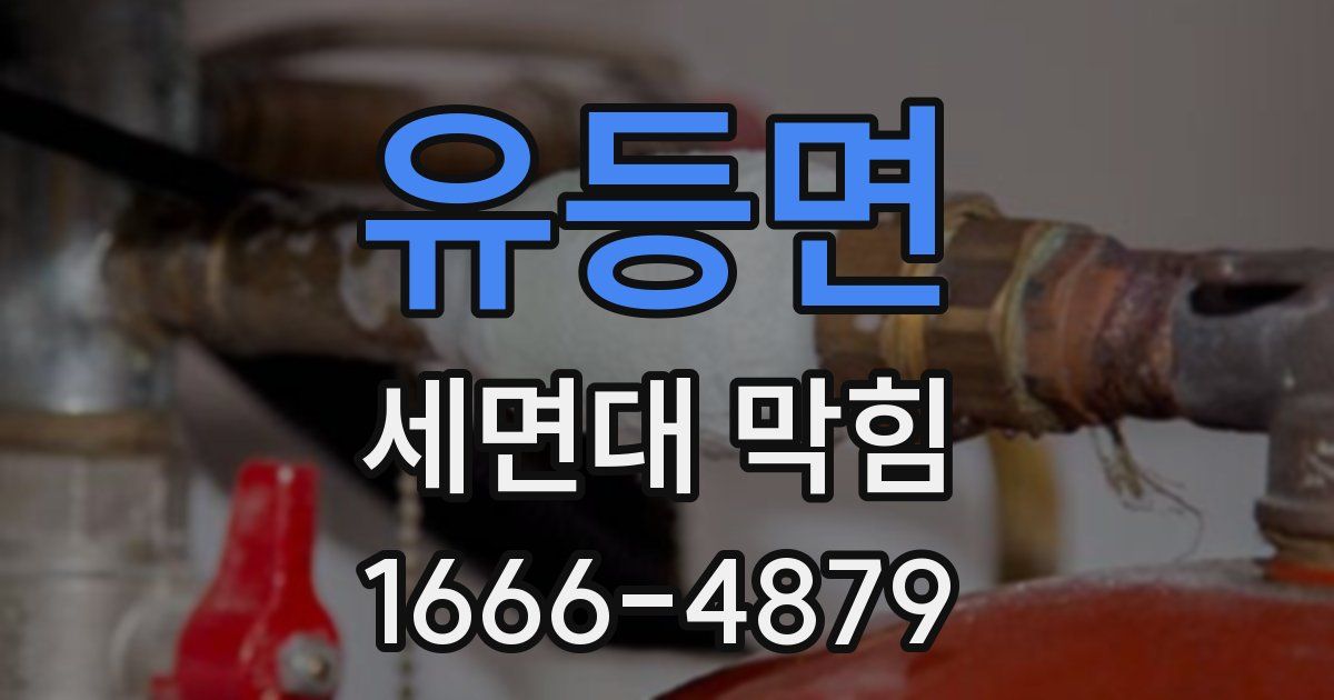 유등면 세면대 막힘