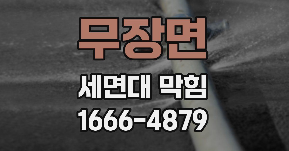 무장면 세면대 막힘