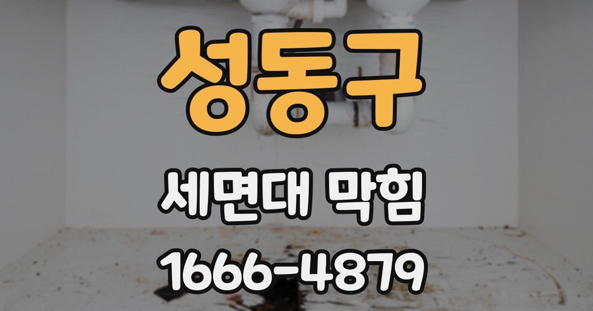 성동구 세면대 막힘