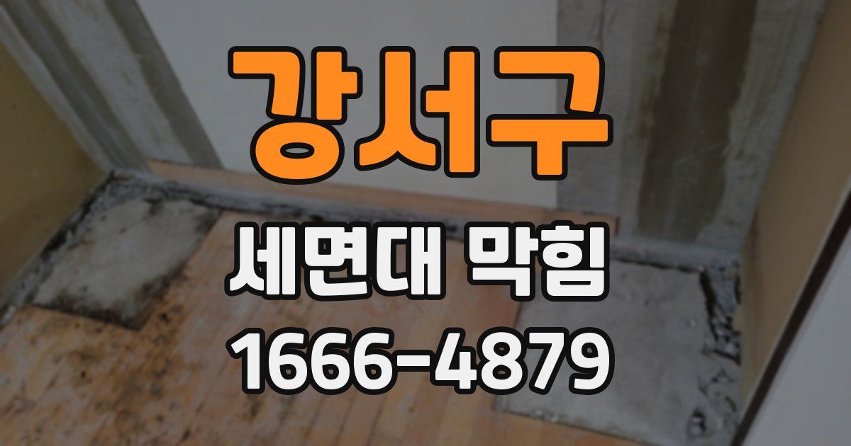 강서구 세면대 막힘