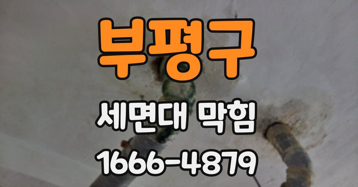 부평구 세면대 막힘