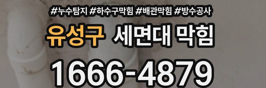 유성구 세면대 막힘