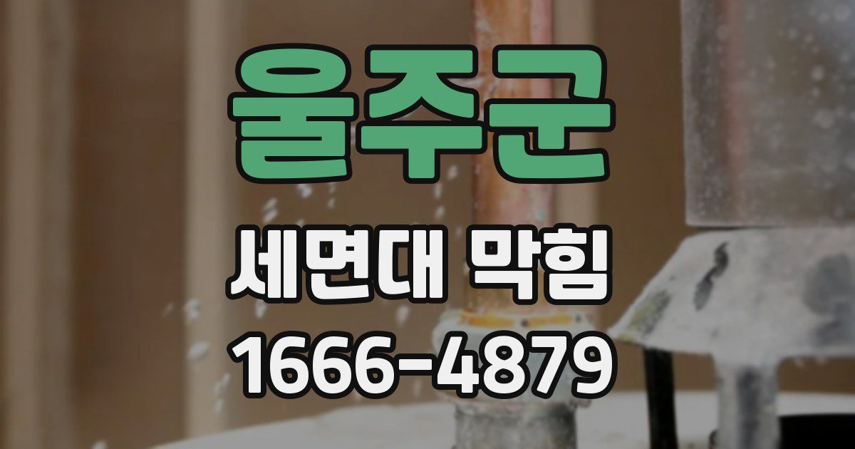 울주군 세면대 막힘