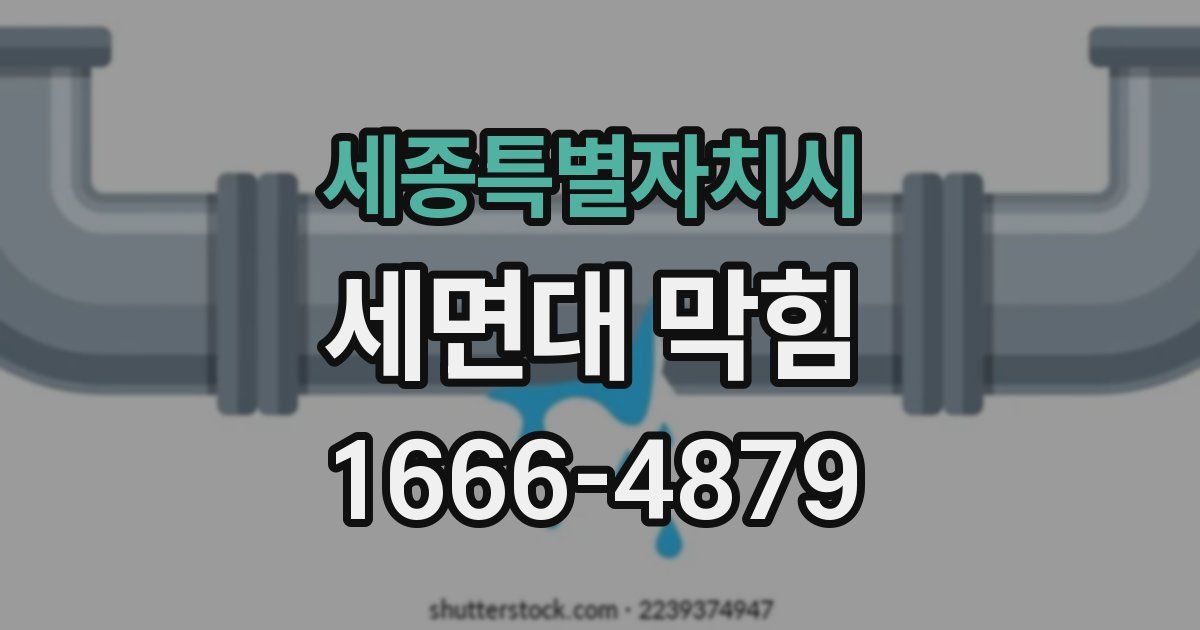 세종특별자치시 세면대 막힘