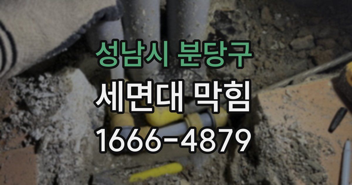 성남시 분당구 세면대 막힘