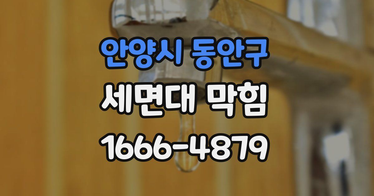 안양시 동안구 세면대 막힘
