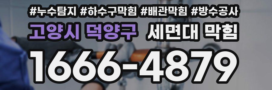 고양시 덕양구 세면대 막힘