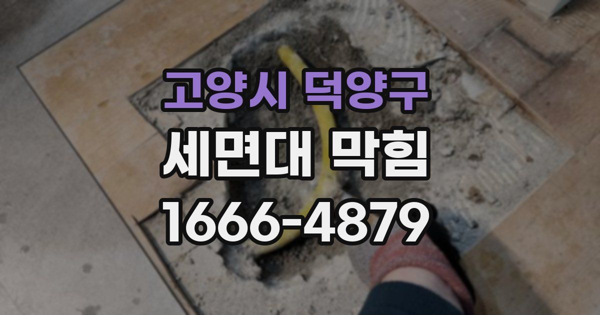 고양시 덕양구 세면대 막힘