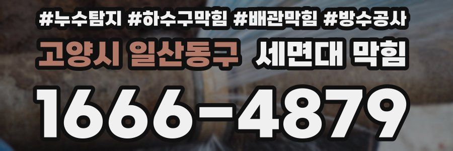 고양시 일산동구 세면대 막힘