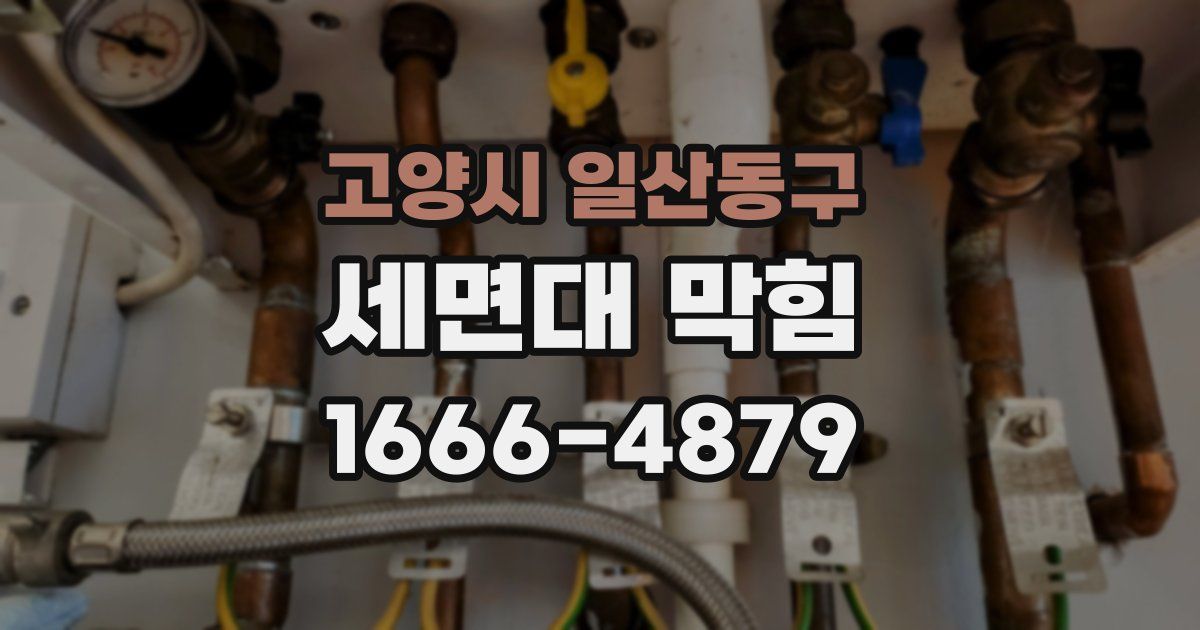 고양시 일산동구 세면대 막힘