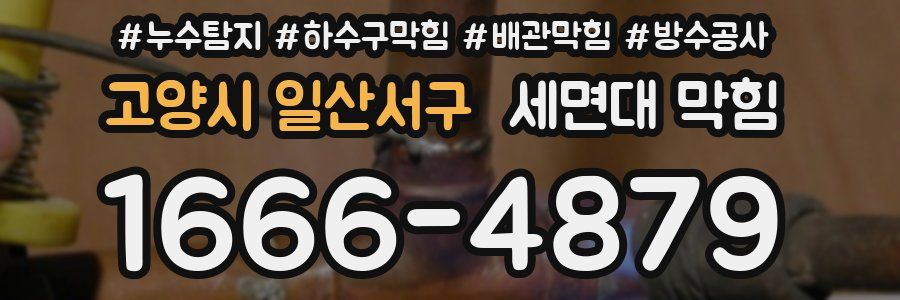 고양시 일산서구 세면대 막힘