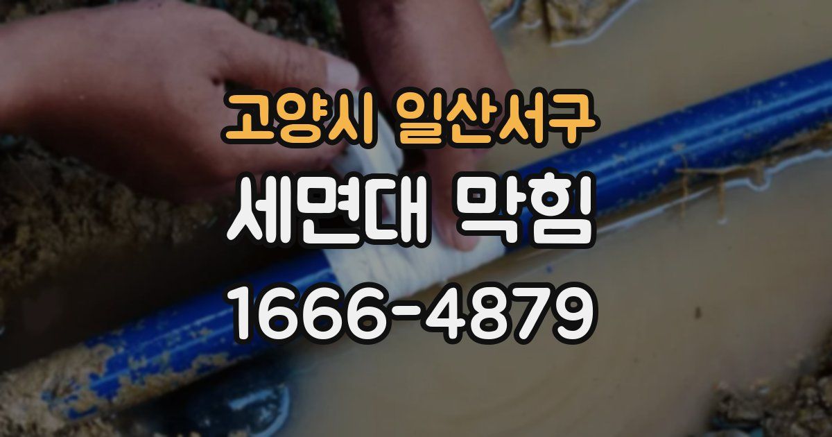 고양시 일산서구 세면대 막힘