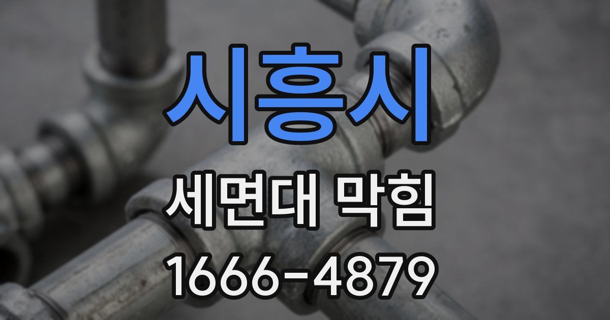 시흥시 세면대 막힘