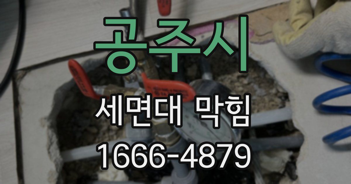 공주시 세면대 막힘