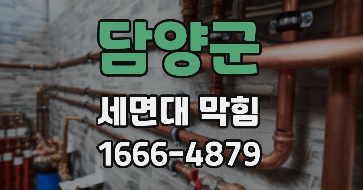 담양군 세면대 막힘