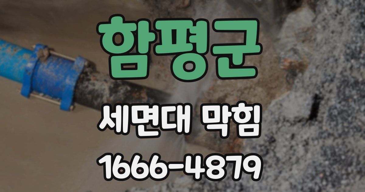 함평군 세면대 막힘