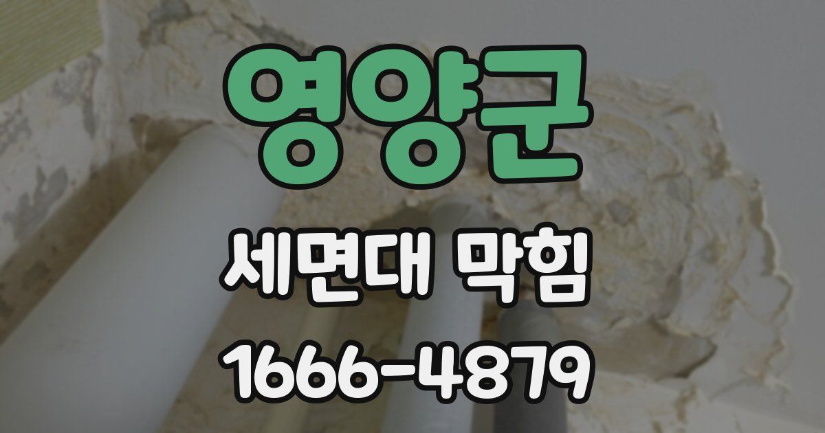 영양군 세면대 막힘