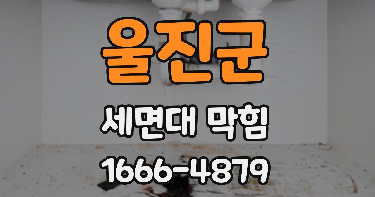 울진군 세면대 막힘