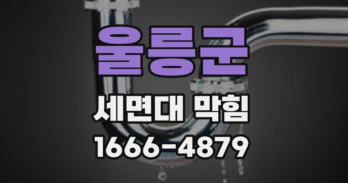 울릉군 세면대 막힘