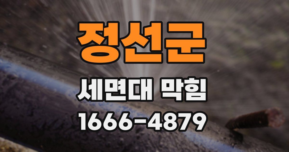 정선군 세면대 막힘