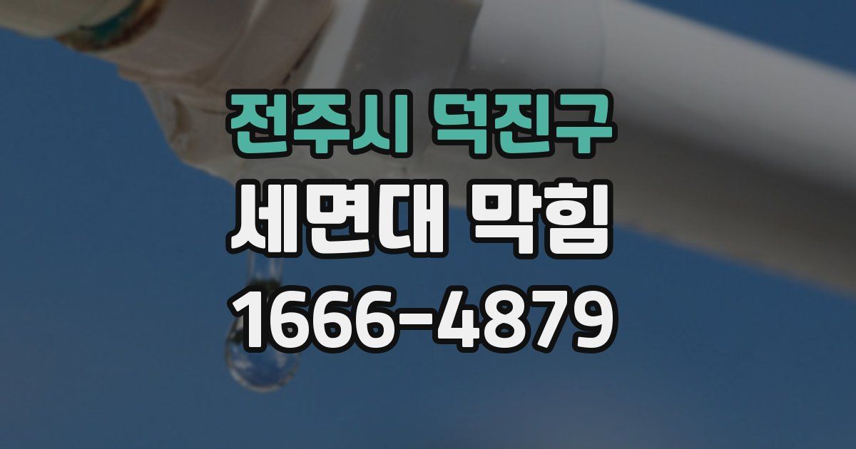 전주시 덕진구 세면대 막힘