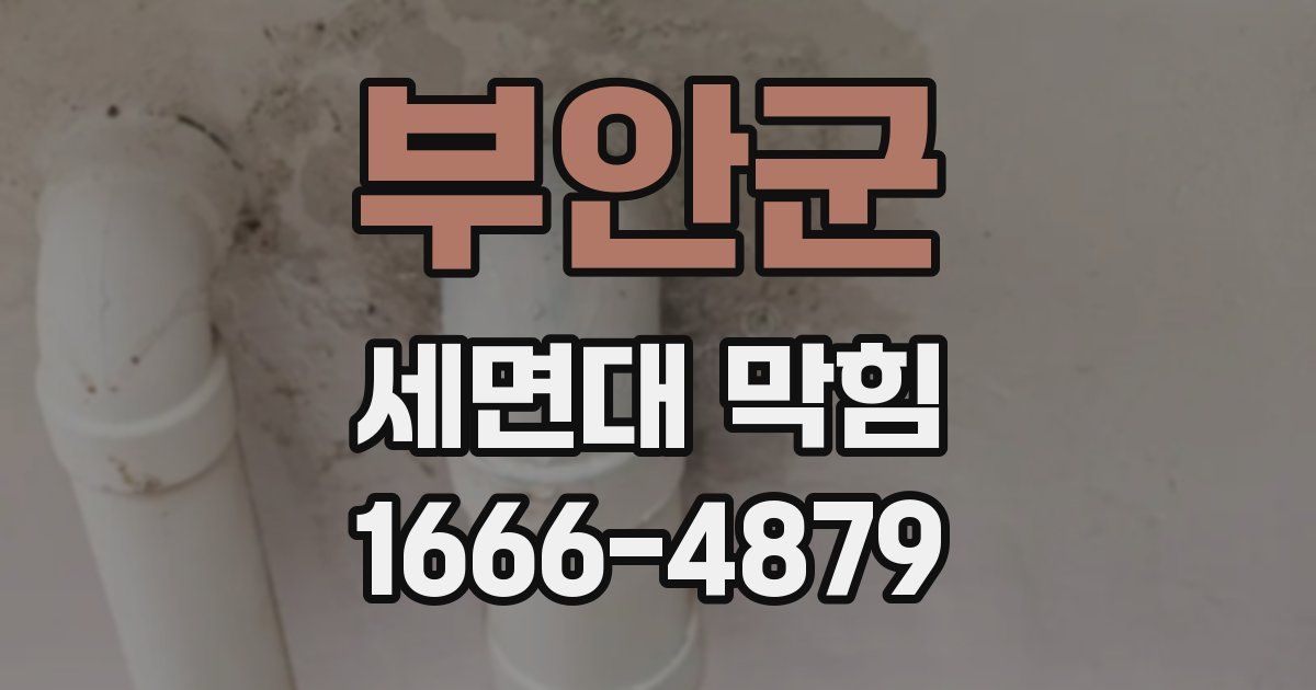 부안군 세면대 막힘