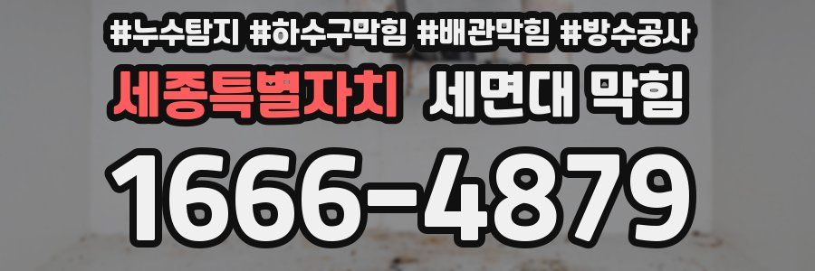 세종특별자치 세면대 막힘
