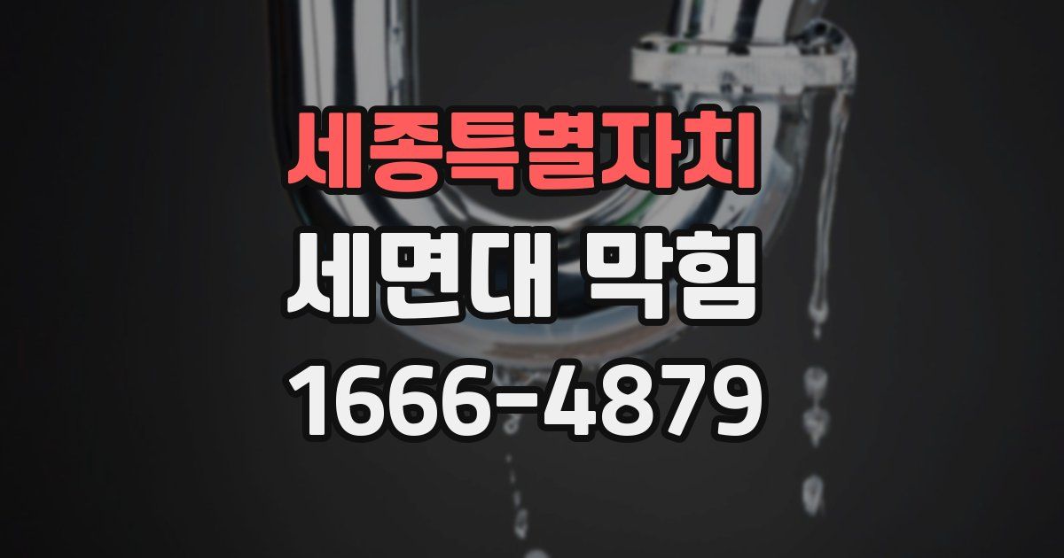 세종특별자치 세면대 막힘