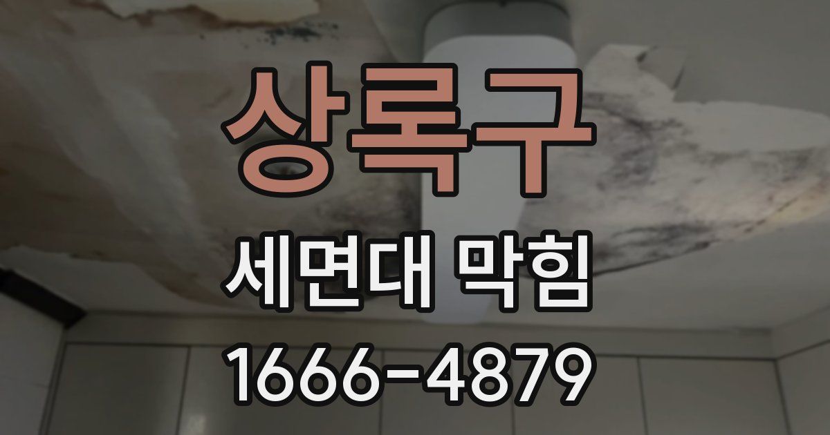 상록구 세면대 막힘