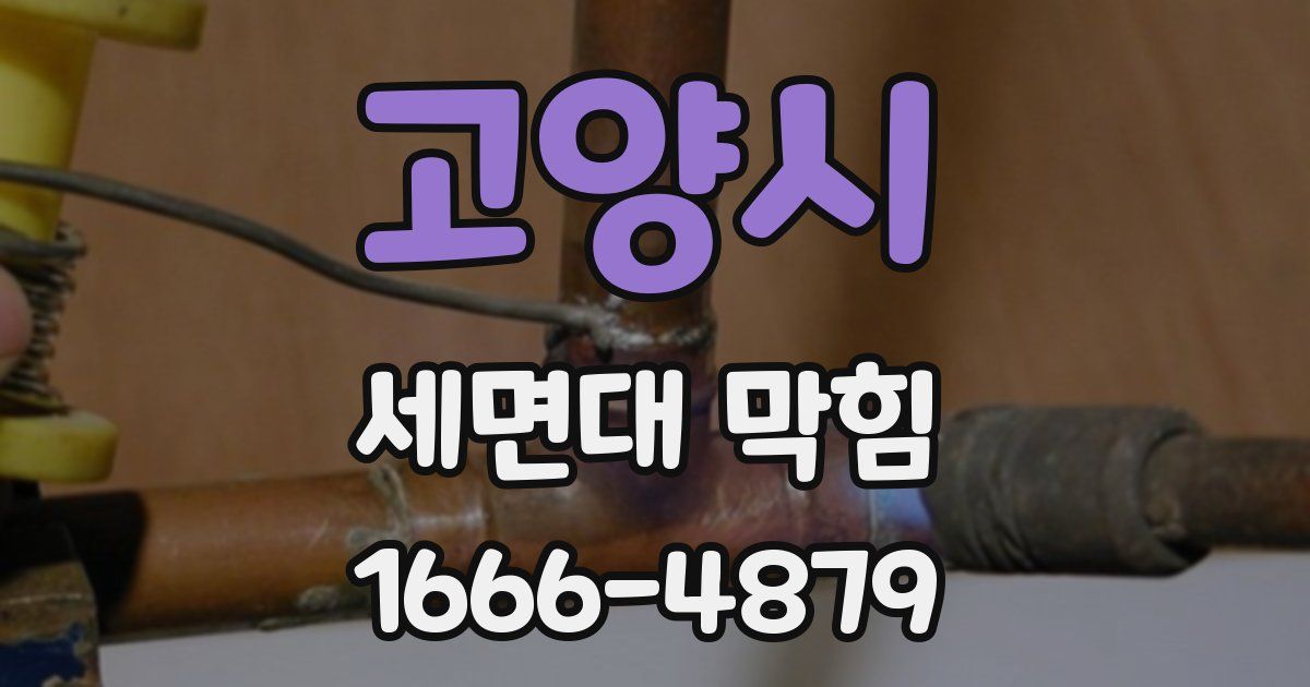 고양시 세면대 막힘