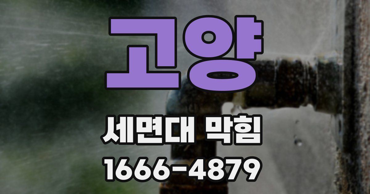 고양 세면대 막힘