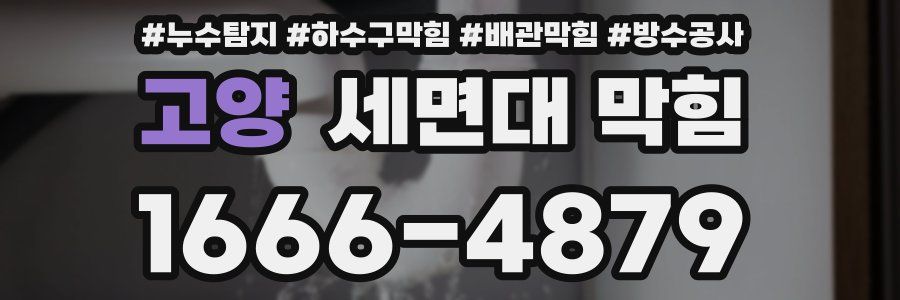 고양 세면대 막힘