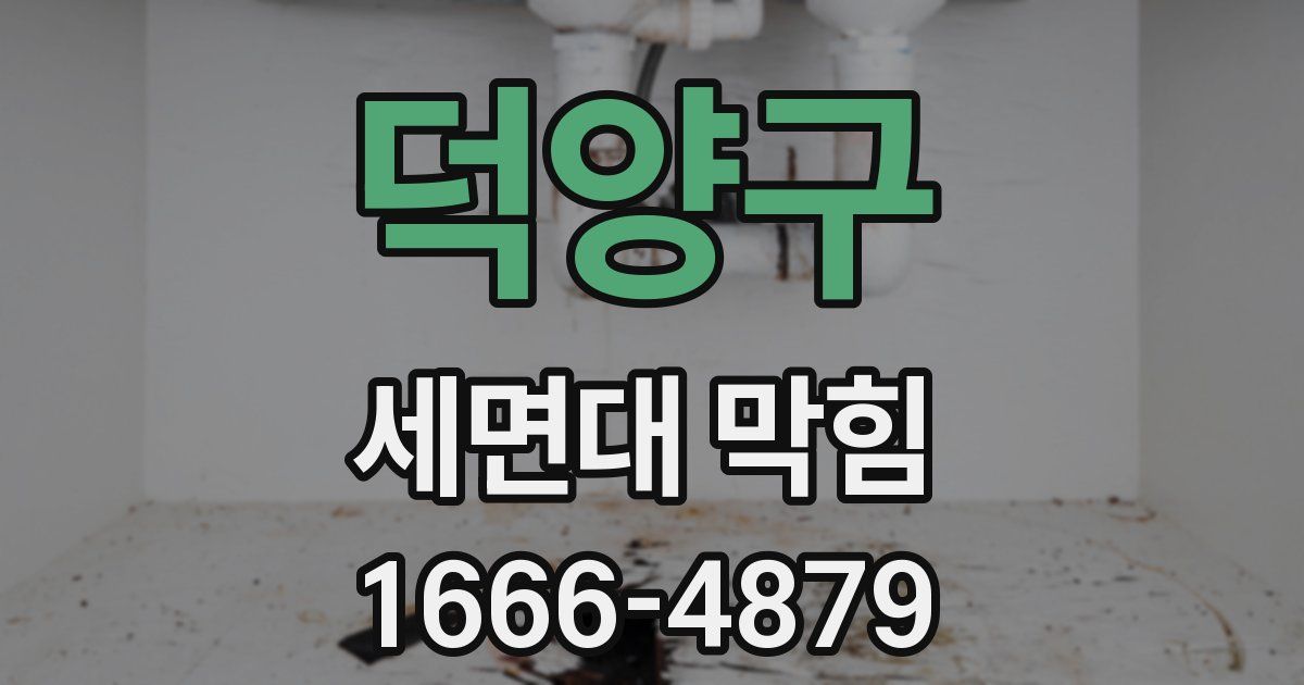 덕양구 세면대 막힘