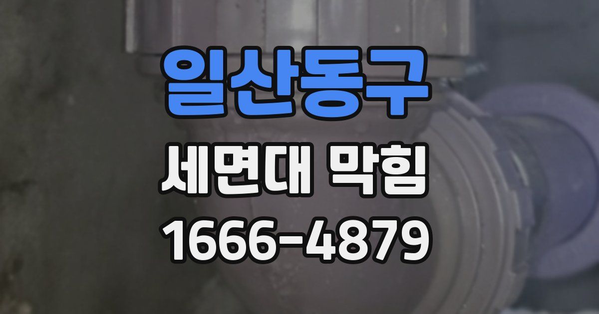 일산동구 세면대 막힘