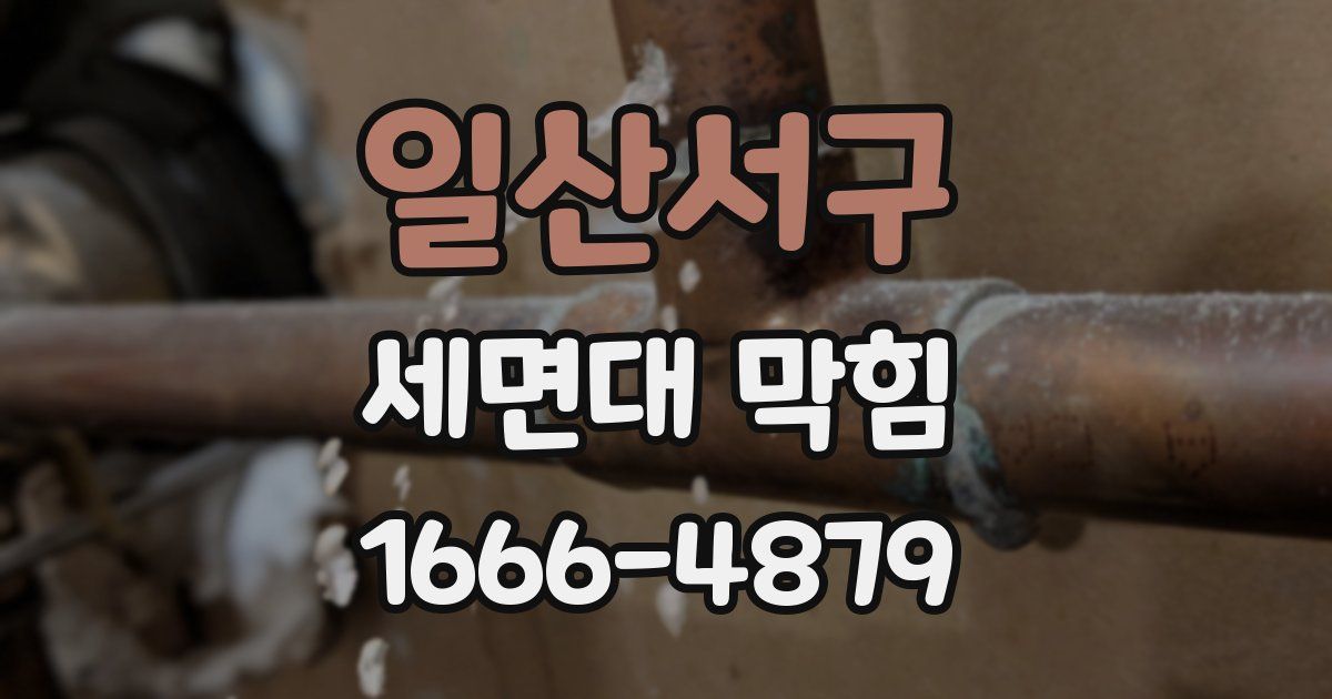 일산서구 세면대 막힘