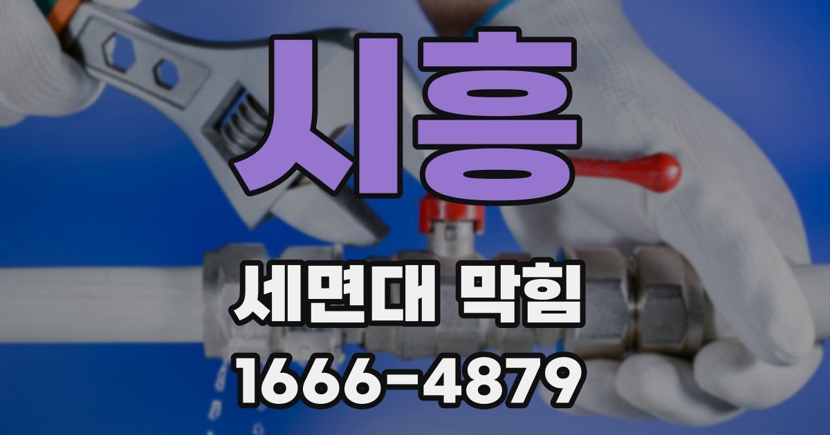 시흥 세면대 막힘