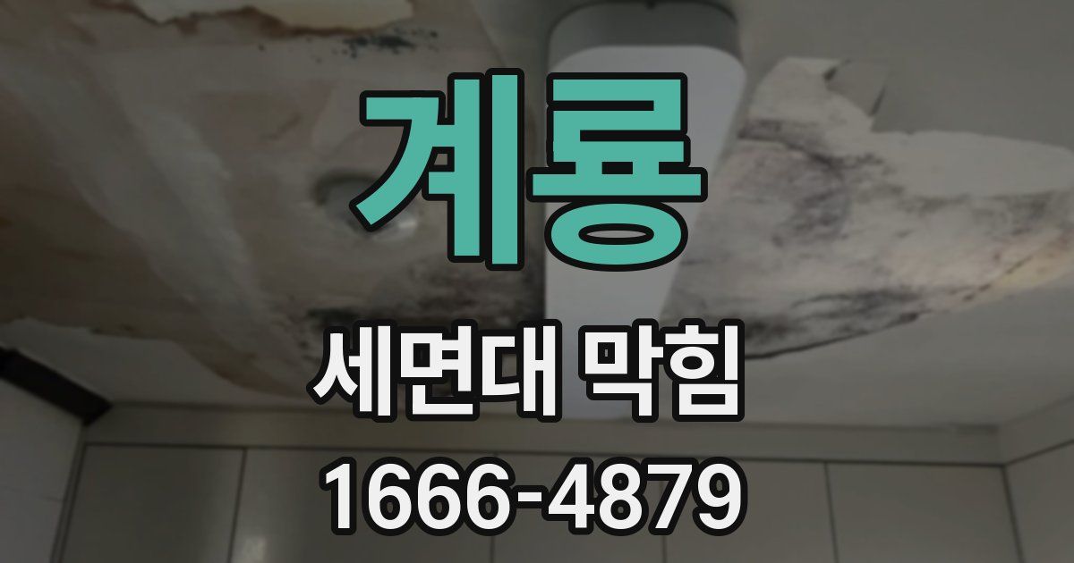 계룡 세면대 막힘