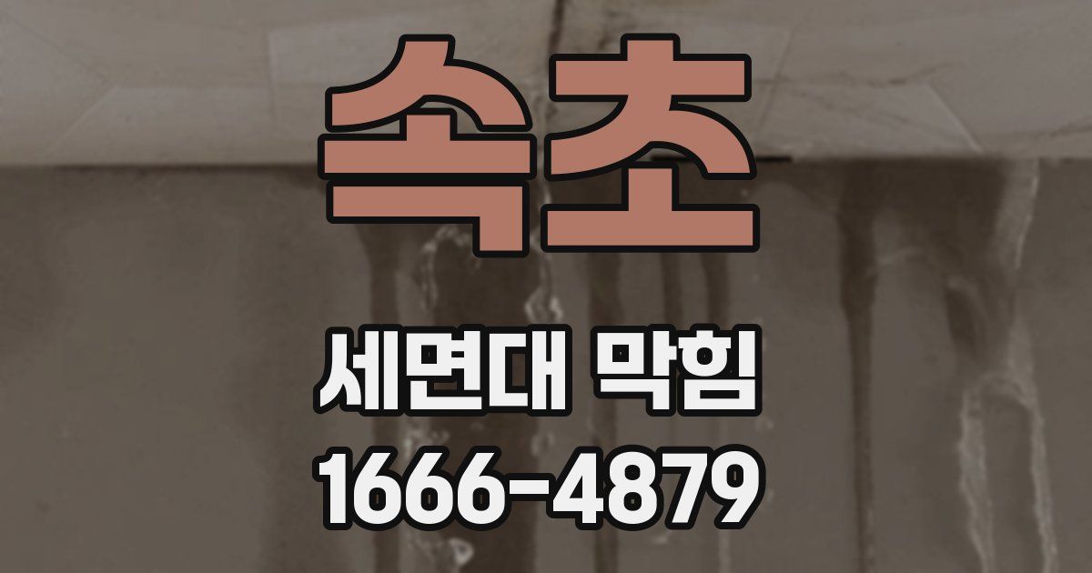속초 세면대 막힘