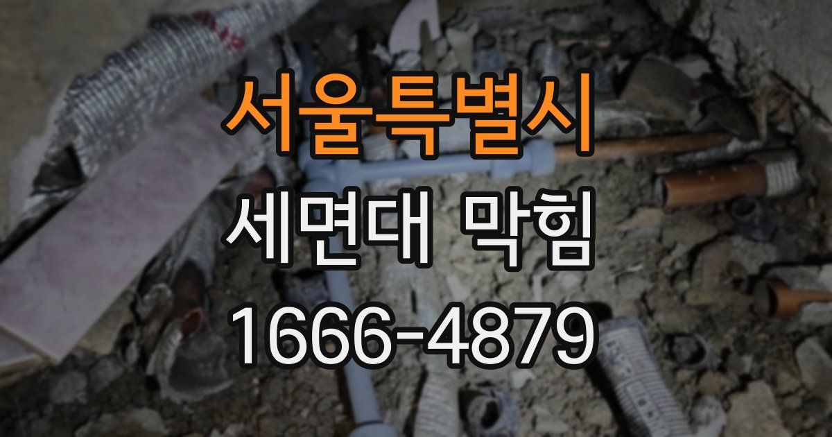 서울특별시 세면대 막힘